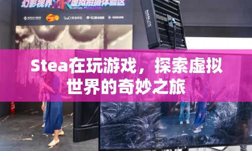 Stea的虛擬世界探險(xiǎn)之旅
