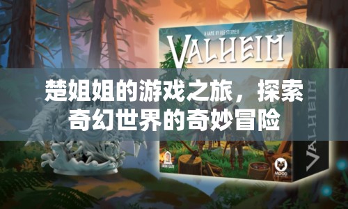 楚姐姐的游戲之旅，奇幻世界的奇妙冒險