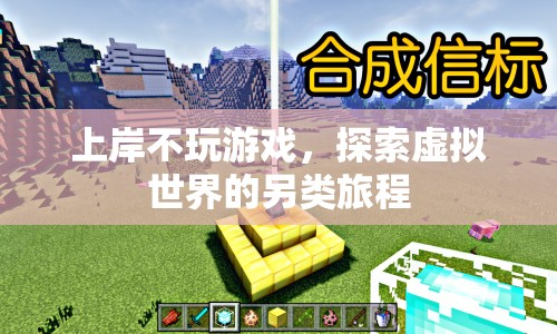 上岸后的另類探索，不玩游戲，探索虛擬世界的旅程
