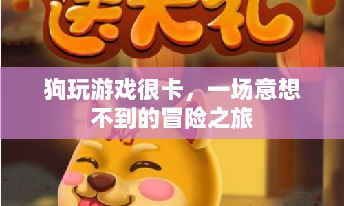 狗玩游戲卡出意外，開(kāi)啟一場(chǎng)冒險(xiǎn)之旅