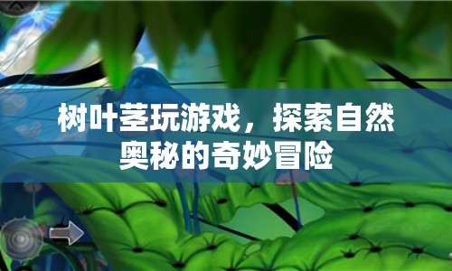 探索自然奧秘，樹葉莖的奇妙冒險