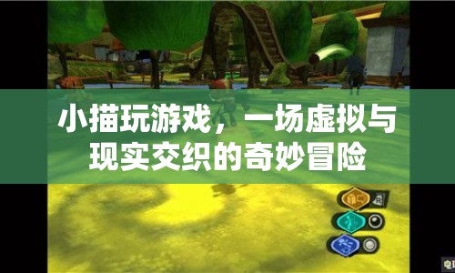 小描的虛擬冒險，游戲與現(xiàn)實的奇妙交織