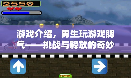 男生玩游戲脾氣，挑戰(zhàn)與釋放的奇妙之旅