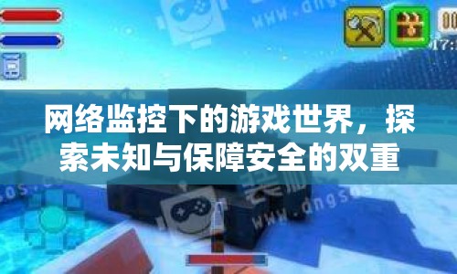 網(wǎng)絡(luò)監(jiān)控下的游戲世界，探索未知與保障安全的雙重體驗(yàn)