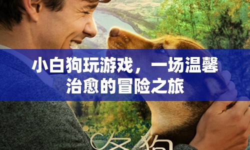 小白狗溫馨治愈的冒險之旅