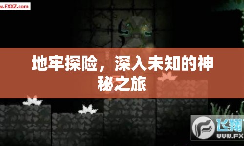 地牢探險(xiǎn)，揭開神秘面紗的未知之旅