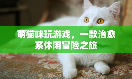 萌貓咪玩游戲，治愈系休閑冒險之旅等你來探索