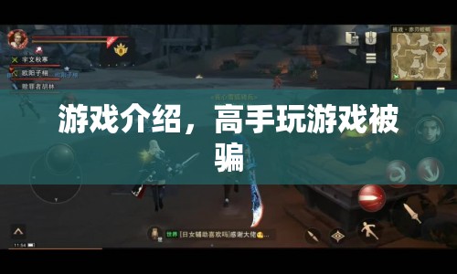 高手玩游戲被騙，警惕游戲陷阱，保護(hù)自身權(quán)益