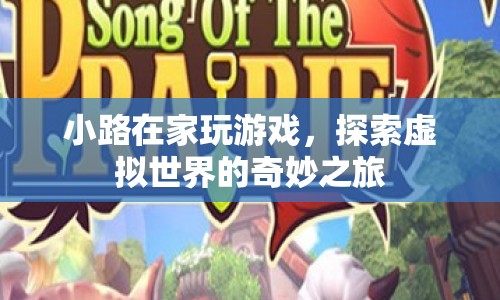 探索虛擬世界的奇妙之旅，小路的游戲之旅