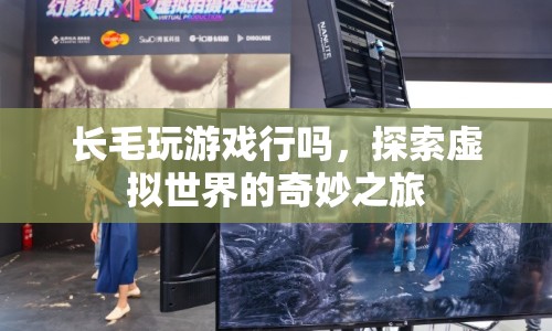 探索虛擬世界的奇妙之旅，長(zhǎng)毛的游戲之旅