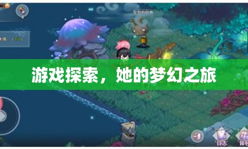 她的夢(mèng)幻之旅，游戲探索之旅