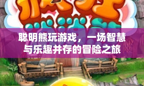 聰明熊的冒險之旅，智慧與樂趣的碰撞