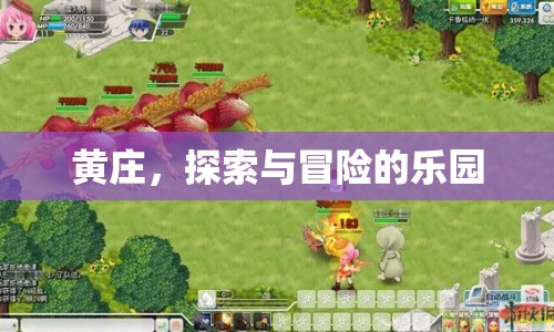 黃莊，探索與冒險的樂園