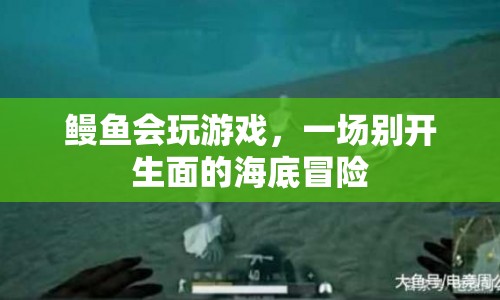 鰻魚海底冒險，一場別開生面的游戲