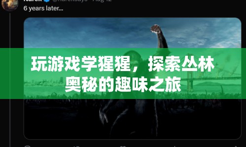探索叢林奧秘，與猩猩共舞，開啟趣味游戲之旅