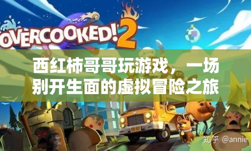 西紅柿哥哥的虛擬冒險之旅
