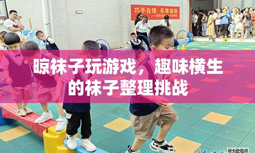 晾襪子大賽，趣味橫生的襪子整理挑戰(zhàn)