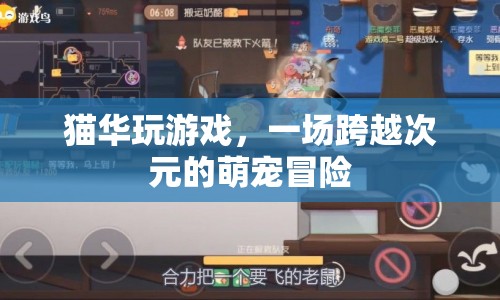 貓華萌寵冒險(xiǎn)，跨越次元的游戲之旅