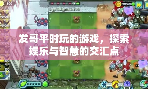 探索發(fā)哥游戲世界，娛樂(lè)與智慧的交匯點(diǎn)