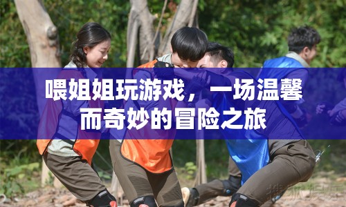 喂姐姐玩游戲，一場溫馨而奇妙的冒險之旅
