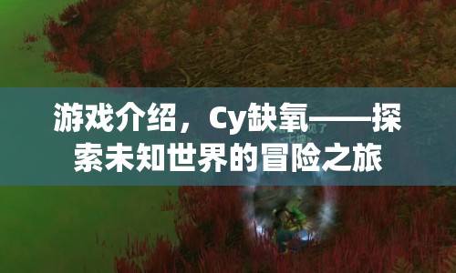 Cy缺氧，探索未知世界的驚險冒險之旅