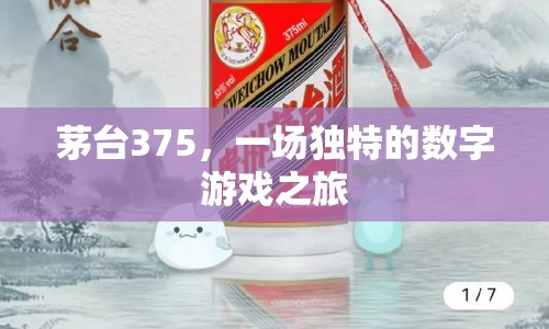 茅臺(tái)375，一場(chǎng)數(shù)字游戲之旅的奇妙體驗(yàn)