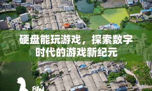 探索數(shù)字時代的游戲新紀元，硬盤能否成為游戲新平臺？