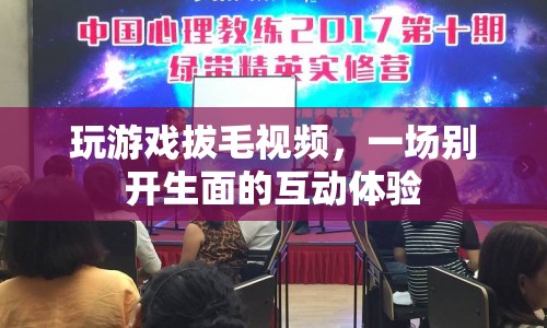 游戲拔毛，互動(dòng)體驗(yàn)新玩法