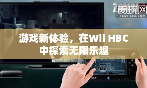 Wii HBC，探索游戲新體驗(yàn)，盡享無限樂趣