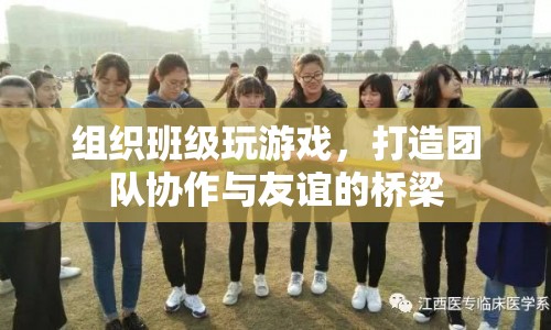 組織班級(jí)游戲，打造團(tuán)隊(duì)協(xié)作與友誼的橋梁