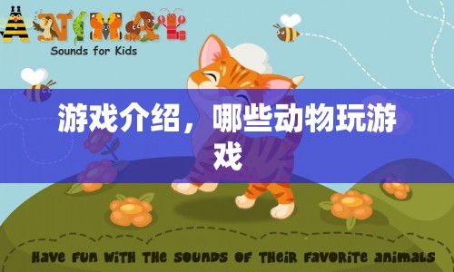 動物也愛玩游戲？揭秘動物界的游戲行為
