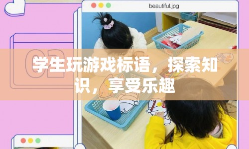 探索知識(shí)，享受樂(lè)趣，學(xué)生游戲標(biāo)語(yǔ)