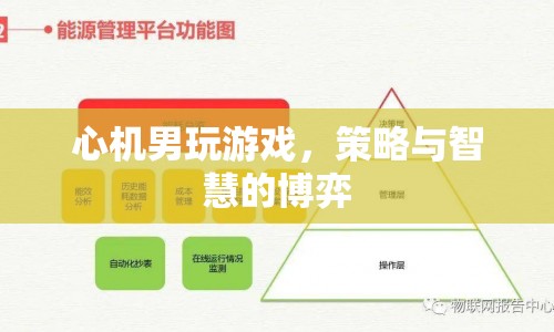 心機(jī)男智斗游戲，策略與智慧的巔峰博弈