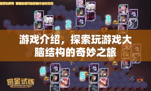 探索游戲如何重塑你的大腦結(jié)構(gòu)