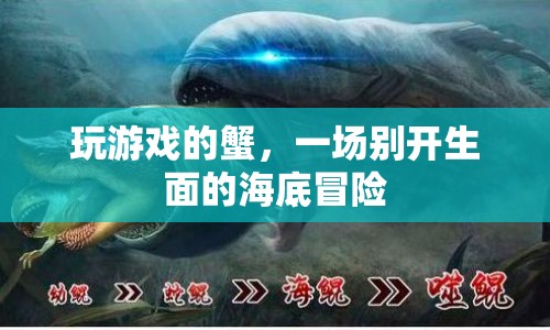 海底冒險，玩游戲的蟹