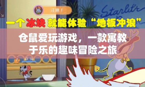 寓教于樂，倉鼠愛玩游戲，開啟趣味冒險之旅
