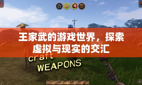 王家武的游戲世界，虛擬與現(xiàn)實的交匯探索