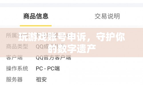 如何有效申訴游戲賬號，守護(hù)你的數(shù)字遺產(chǎn)？