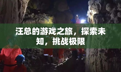 汪總的游戲之旅，探索未知，挑戰(zhàn)極限