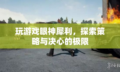 游戲高手的犀利眼神，探索策略與決心的極限