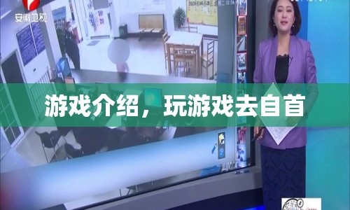 游戲介紹，玩游戲去自首