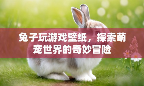 探索萌寵世界的奇妙冒險，兔子玩游戲壁紙