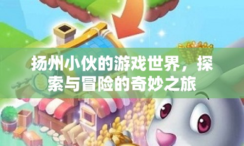 揚(yáng)州小伙的奇妙游戲探險(xiǎn)之旅