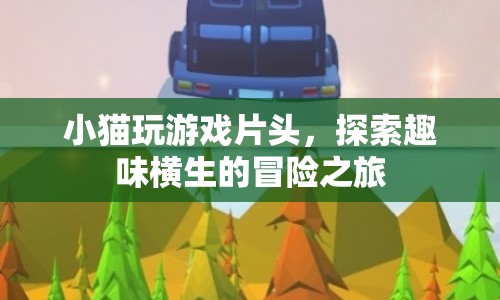 探索趣味橫生的冒險之旅，小貓玩游戲片頭