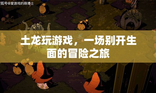 土龍玩游戲，開啟一場別開生面的冒險之旅