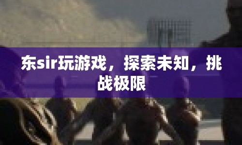 東sir游戲探索，挑戰(zhàn)極限，解鎖未知