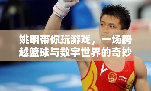 姚明引領(lǐng)，籃球與數(shù)字世界的奇妙碰撞之旅