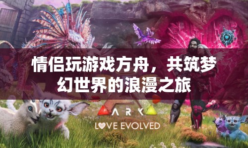 情侶共筑夢(mèng)幻世界的浪漫之旅，方舟游戲之旅