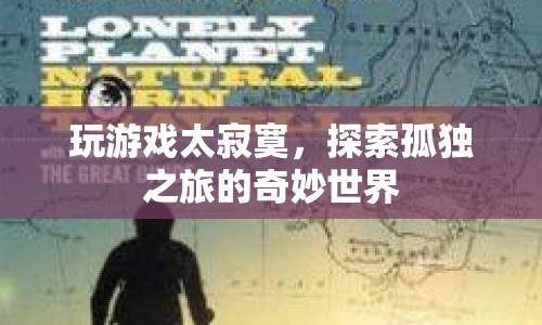 探索孤獨(dú)之旅，游戲世界中的奇妙與寂寞