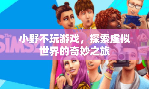 小野不玩游戲，探索虛擬世界的奇妙之旅